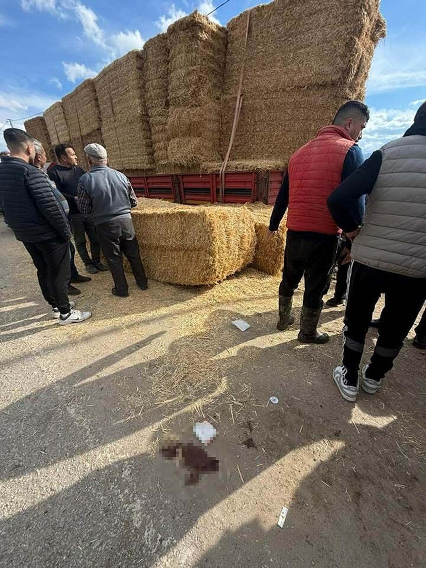 İzmir'in Kiraz ilçesinde park halindeki TIR'dan düşen saman balyalarının altında kalan 53 yaşındaki Abdurrahman A., hayatını kaybetti. O anlar bir iş yerinin güvenlik kamerasına yansıdı.