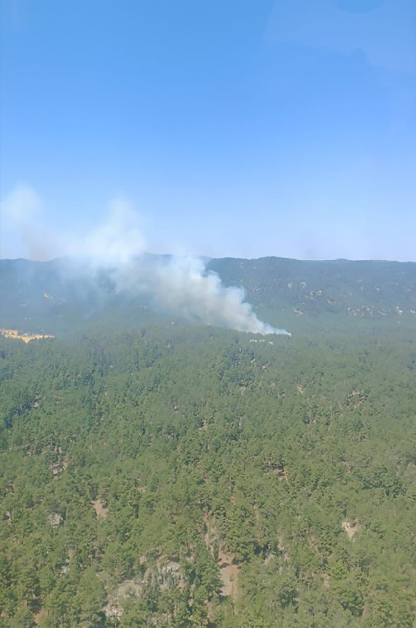 Aydın, Mersin, Bolu ve Çanakkale'de ormanlık alanda yangın çıktı. Alevleri söndürmek için çalışma başlatıldı.
