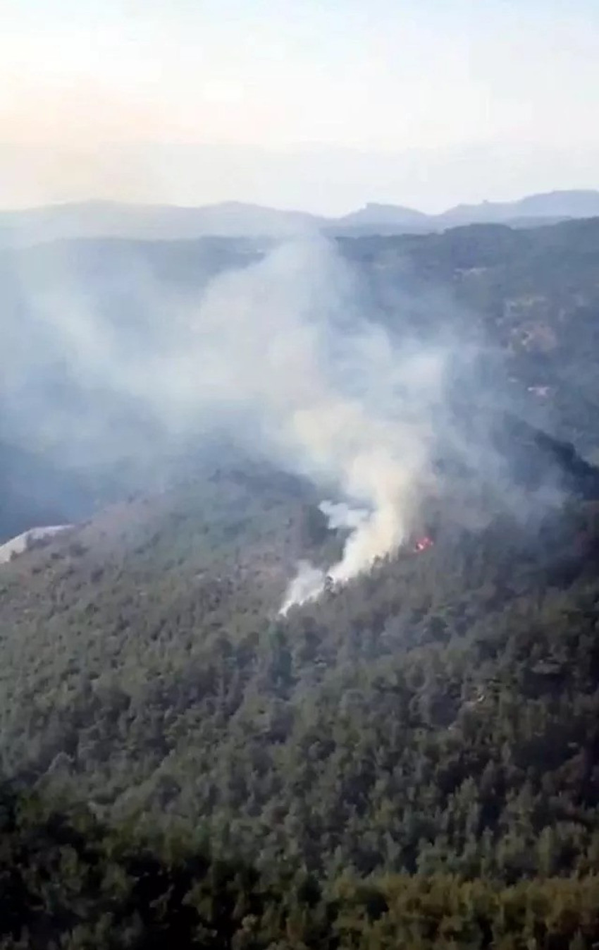İzmir'in Bergama ve Dikili ilçesinde orman yangını - Resim : 1