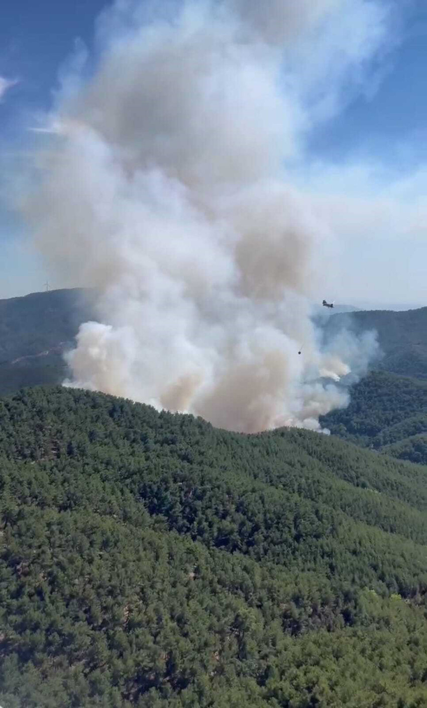 İzmir’in Bergama ilçesinde 24 saat süren orman yangını ile ilgili skandal iddia: "Yangına müdahale edecek helikopterlerin, yakıt parası verilmediği için kalkmadığı"