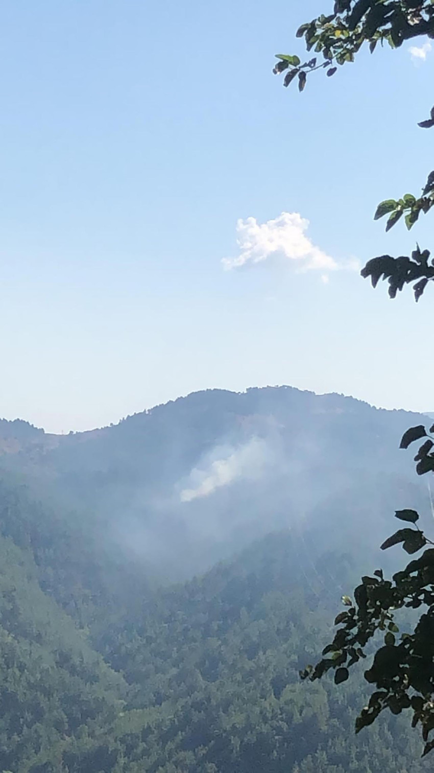 Adana'nın Kozan ilçesinde çıkan orman yangınına müdahale eden helikopter su alırken göle düştü. Mürettebatın yüzerek kurtulduğu bildirildi.