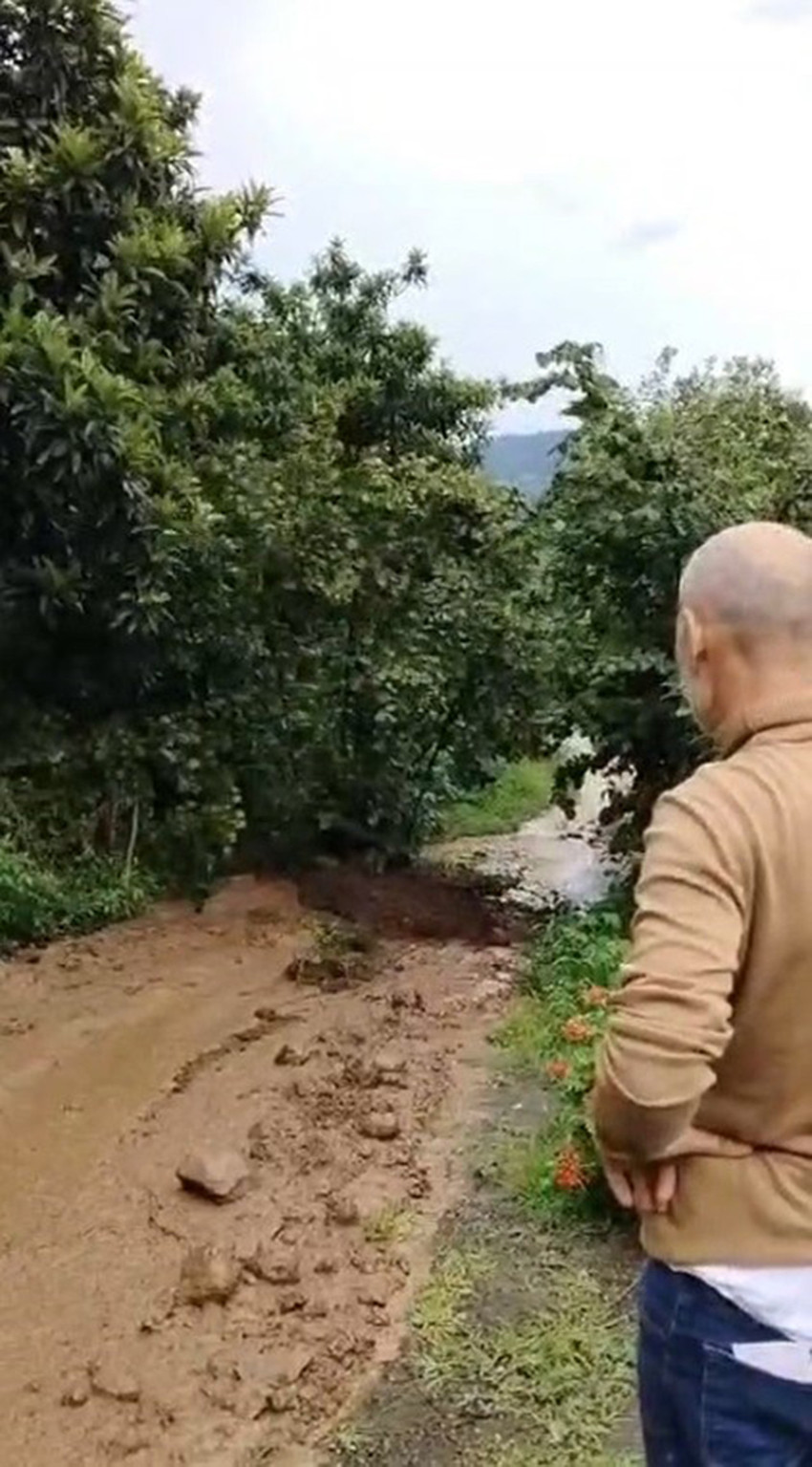 Trabzon'un Arsin ilçesindeki şiddetli yağışların ardından meydana gelen toprak kayması, doğanın gücünü bir kez daha gözler önüne serdi. Fındık ağacının sel sularının etkisiyle adeta yürür gibi kayıp gitmesi cep telefonu kamerasına yansıyan etkileyici görüntülerle belgelendi.