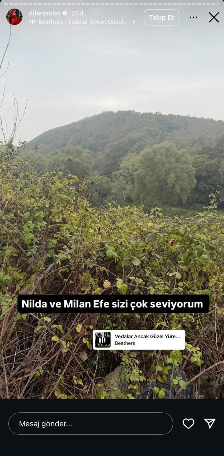 Ünlülere yönelik uyuşturucu soruşturmasında test sonucu pozitif çıkan Dilan Polat'ın, Fatih Sultan Mehmet Köprüsü'nde intihara kalkıştığı iddia edildi.