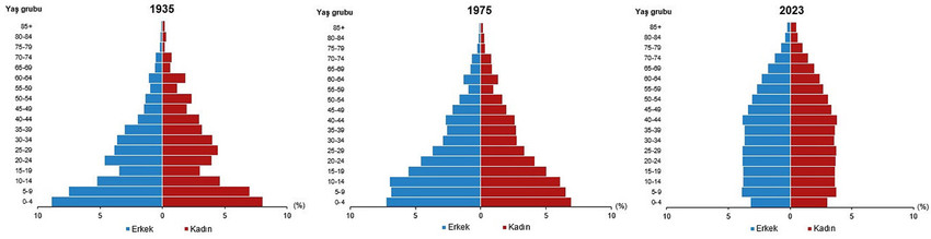 Nüfus piramidi, 1935, 1975, 2023