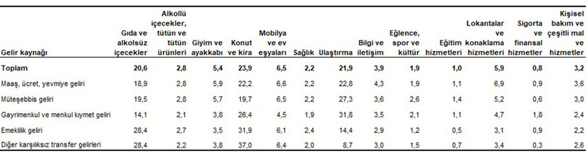 Türkiye'deki barınma krizi Türkiye İstatistik Kurumu istatistiklerine bir kez daha yansıdı. Türkiye'de hane halkı bütçesinden 2023'te en fazla pay konut ve kira harcamalarına ayrılırken hane halklarının harcamalarında en yüksek payı konut ve kira harcamaları aldı. 