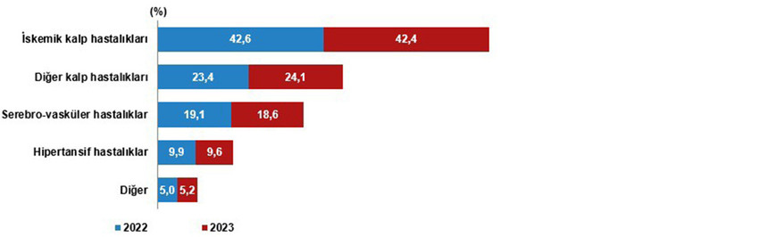 TÜİK, 2023 yılı ölüm istatistiklerini açıkladı. Verilere göre, 6 Şubat'ta Kahramanmaraş merkezli depremlerde 45 bin 784 Türk vatandaşı hayatını kaybetti.