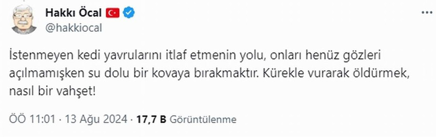 Milliyet gazetesi yazarı ve İbni Haldun Üniversitesi öğretim üyesi Hakkı Öcal'ın 