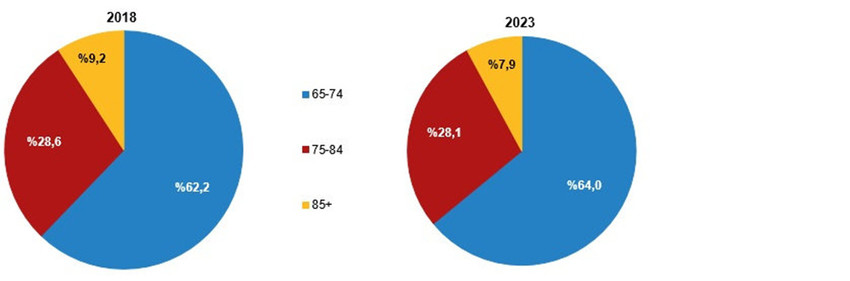 TÜİK, 2023 yılına ilişkin yaşlı istatistiklerini yayımladı