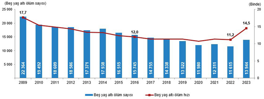 TÜİK, 2023 yılı ölüm istatistiklerini açıkladı. Verilere göre, 6 Şubat'ta Kahramanmaraş merkezli depremlerde 45 bin 784 Türk vatandaşı hayatını kaybetti.