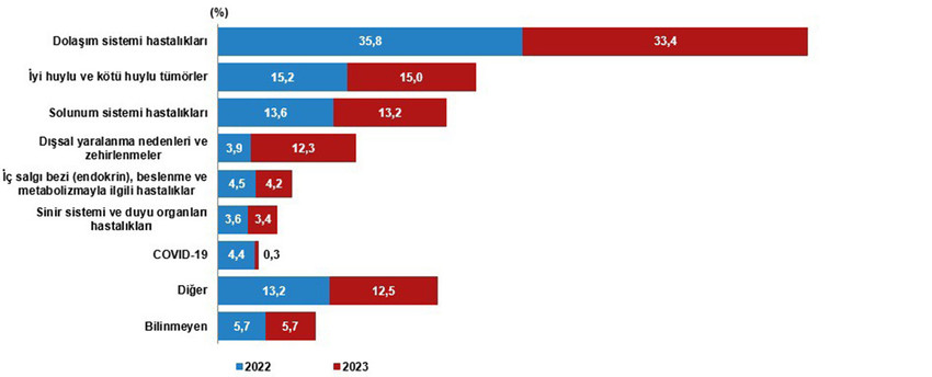 TÜİK, 2023 yılı ölüm istatistiklerini açıkladı. Verilere göre, 6 Şubat'ta Kahramanmaraş merkezli depremlerde 45 bin 784 Türk vatandaşı hayatını kaybetti.