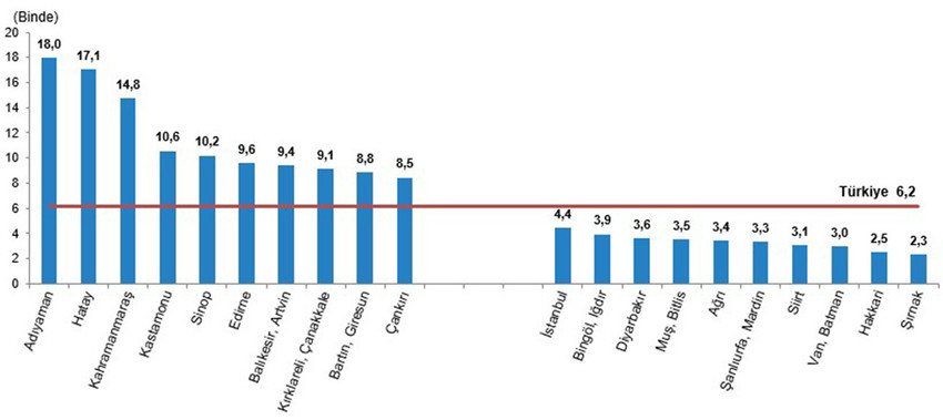 TÜİK, 2023 yılı ölüm istatistiklerini açıkladı. Verilere göre, 6 Şubat'ta Kahramanmaraş merkezli depremlerde 45 bin 784 Türk vatandaşı hayatını kaybetti.