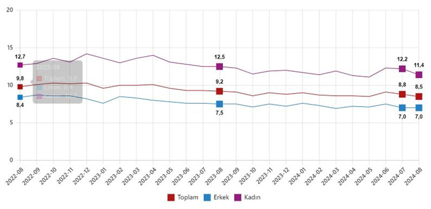 T&uuml;rkiye İstatistik Kurumu ağustos ayına ilişkin işsizlik rakamlarını a&ccedil;ıkladı.