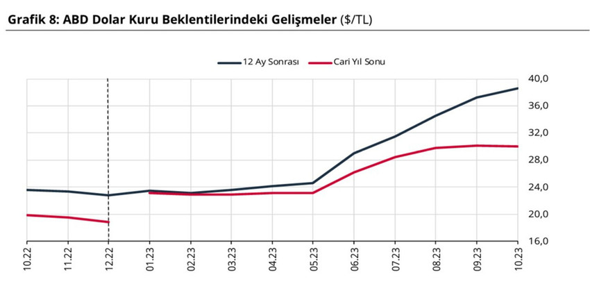 Türkiye Cumhuriyet Merkez Bankası Piyasa Katılımcıları Anketi'ne göre yıl sonu dolar kuru tahmini 30,05 lira, enflasyon beklentisi ise yüzde 68,01 oldu.