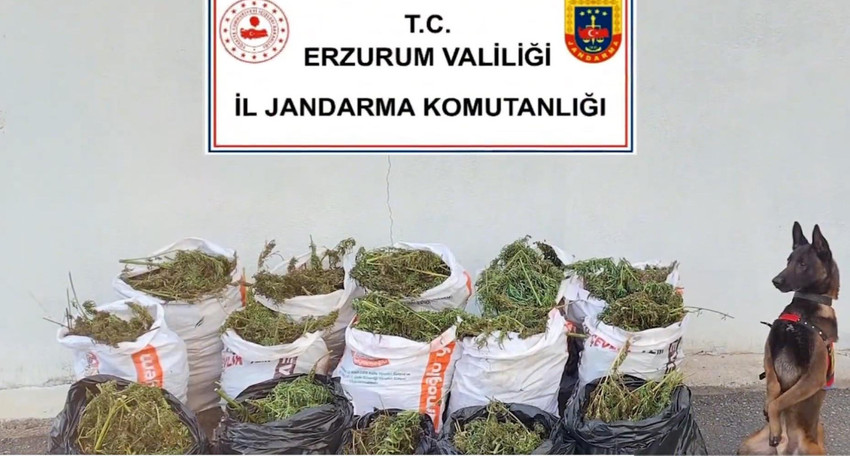 İçişleri Bakanı Ali Yerlikaya, 32 ilde uyuşturucu tacirlerine yönelik düzenlenen operasyonda gözaltına alınan 125 şüpheliden 63'ünün tutuklandığını duyurdu.