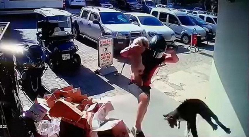 Antalya'nın Alanya ilçesinde motosikleti ve köpeğiyle iş yeri önüne gelen ve köpeğiyle kavga eden kediyi tekmeleyen genç şahıs tutuklandı. 