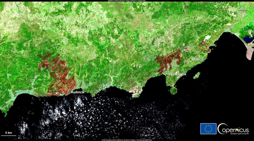 Uydudan yeni görüntüler geldi: İşte yangının uzaya yansıyan boyutu - Resim : 1