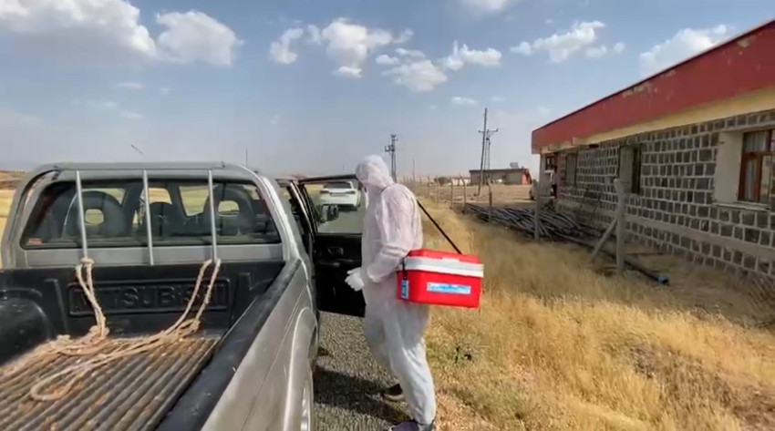 Şanlıurfa'nın Siverek ilçesine bağlı Sumaklı Mahallesi'nde bir köpeğin kuduz olduğu tespit edildi. Bunun üzerine bölge karantinaya alındı. 