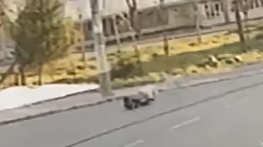 Konya'da 2 yaşındaki Rana'nın sokak köpeklerinin saldırısı sonucu hayatını kaybetmesinin ardından Erzurum ve İzmir'de iki çocuk başıboş köpeklerin saldırısında yaralandı.