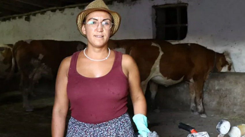 Babasının mirası için kariyerinden vazgeçip besicilik yapmaya başladı
