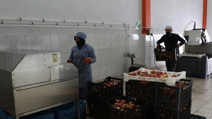 İtalya'da gördü, Niğde'de fabrikasını açtı! Şimdi dünyaya ihraç ediyor