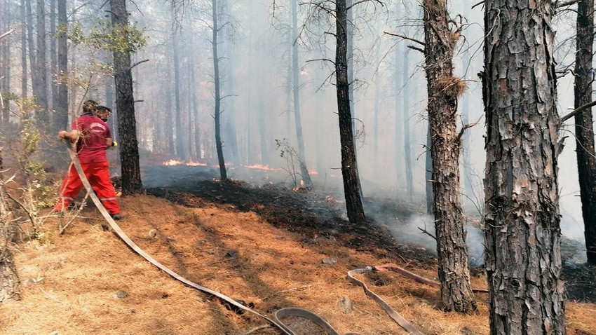 Antalya Kaş'ta orman yangını - Resim: 1