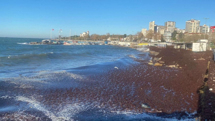İstanbul sahilinde korkutan görüntü! Sahil şeridi kıpkırmızı! - Resim: 4
