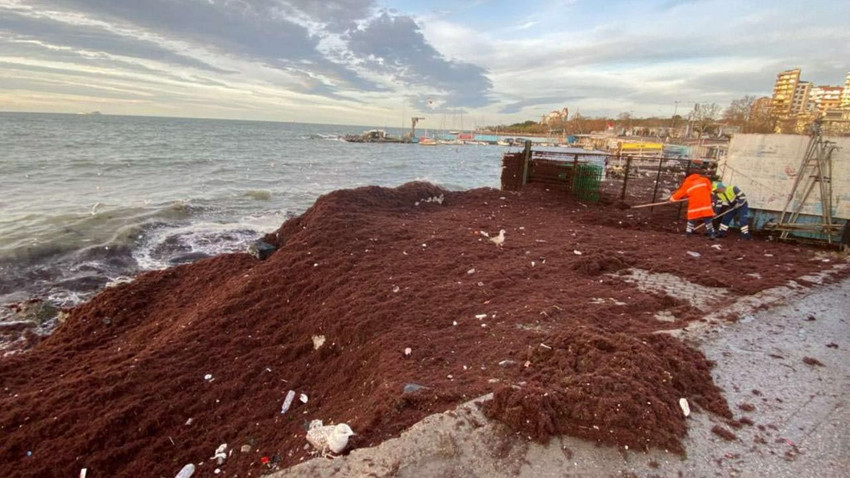 İstanbul sahilinde yine aynı manzara! ''Kırmızı'' örtü her yeri sardı - Resim: 1
