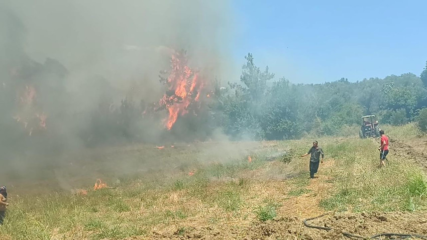 Adana'nın Kozan ilçesinde ormanlık alanda çıkan yangına ekipler müdahalesi ediyor.