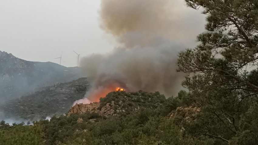 Bodrum'da ormanlık alanda yangın - Resim : 2