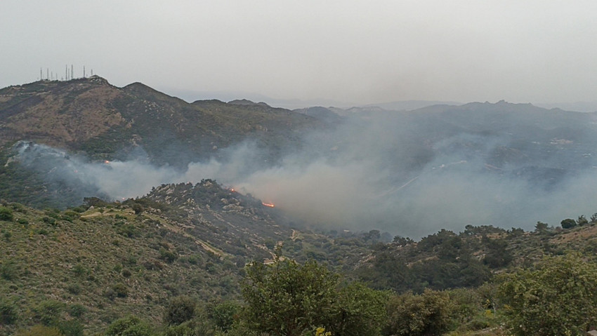 Bodrum'da ormanlık alanda yangın - Resim : 1