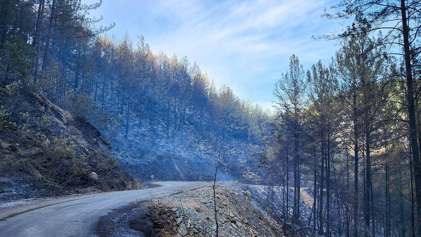 Orman yangınında 2'nci gün: Alanya küle döndü - Resim: 4