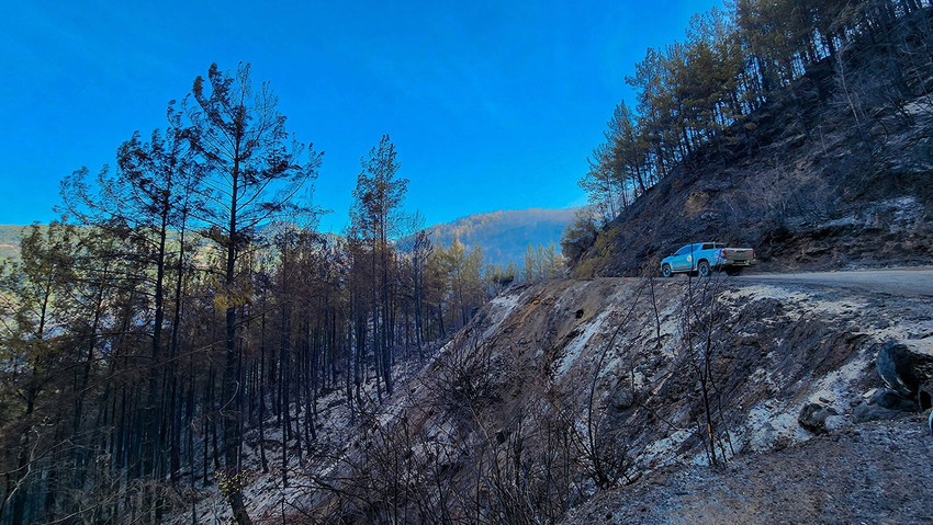 Orman yangınında 2'nci gün: Alanya küle döndü - Resim: 1