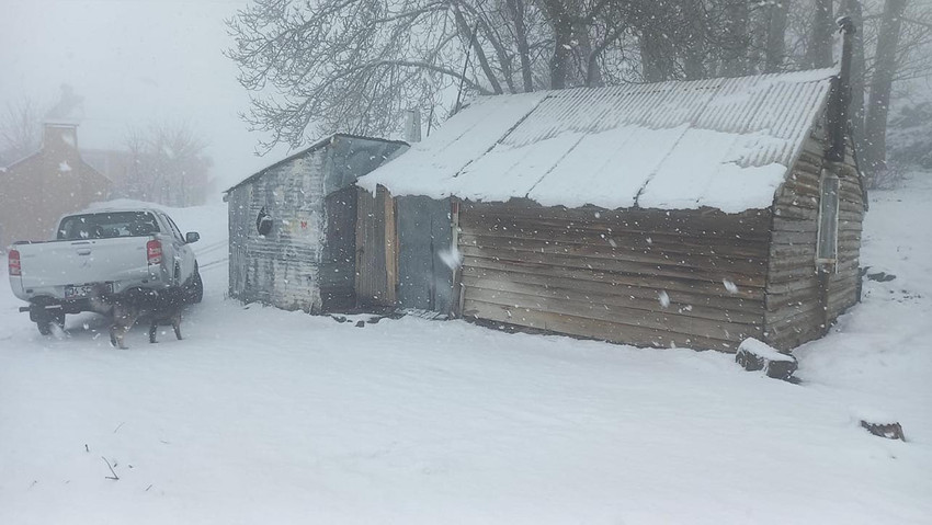 Baharın habercisi cemrenin üçüncüsü bugün toprağa düşerken, Tunceli'nin yüksek kesimlerinde kar yağışı etkili oldu.