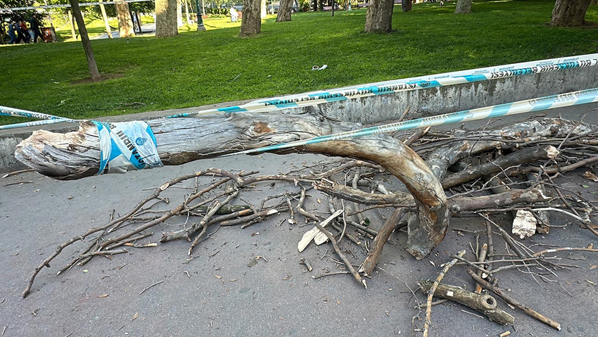 Taksim Gezi Parkı’nda oturan kadının üstüne ağaçtan kopan büyük bir dal parçası düştü. Neye uğradığını şaşıran kadın başından yaralanırken, ambulansla hastaneye kaldırıldı. 