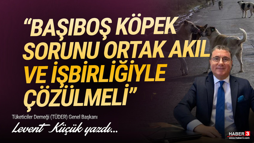 Tüketiciler Derneği (TÜDER) Genel Başkanı Levent Küçük yazdı: Başıboş köpek sorunu ortak akıl ve işbirliği ile çözülmeli