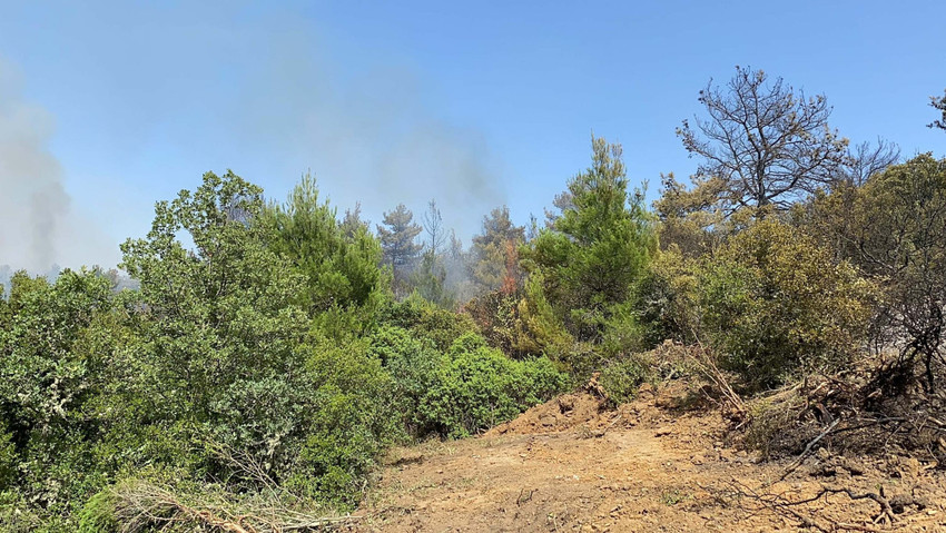 Çanakkale'de orman yangını - Resim : 1