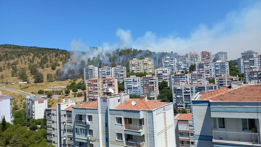 İzmir'in Aliağa ilçesindeki ormanda yangın çıktı. Yangına karadan ve havadan müdahale ediliyor.