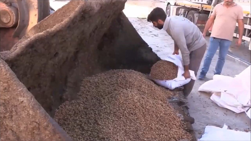 Şanlıurfa'nın Akçakale Sınır Kapısı'nda Suriye'den Türkiye'ye giriş yapan TIR'da, 79 ton sağlığa zararlı ceviz içi ele geçirildi. 