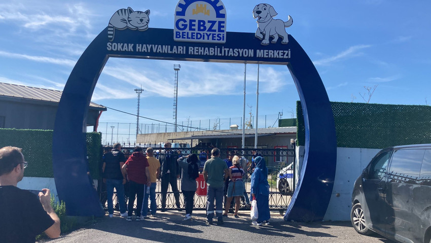 Kocaeli'nin Gebze ilçesinde belediyeye ait Sokak Hayvanları Rehabilitasyon Merkezi'nde 45 hayvanın ölü bulunmasıyla ilgili sessizliğini bozan Gebze Belediye Başkanı Zinnur Büyükgöz, ''Bu görüntülere sebep olan herkese hesabını soracağız'' dedi.