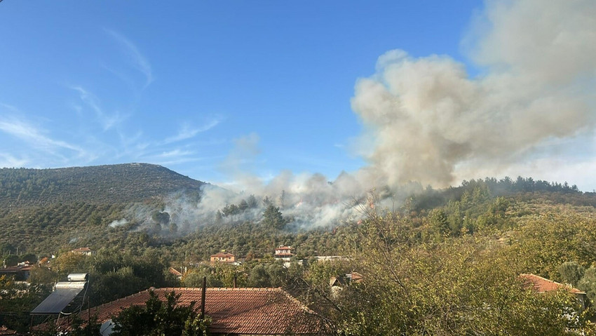 Muğla'nın Menteşe ilçesinde orman yangını çıktı. Yangına havadan ve karadan müdahale başladı. 