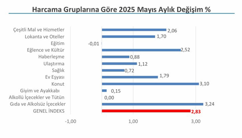 İstanbul Ticaret Odası (İTO) verilerine göre, mayıs ayında İstanbul'un enflasyonu yüzde 2.83 oldu. Yıllık enflasyon ise yüzde 46.57 oldu. En çok fiyat artışı gıda grubunda oldu.