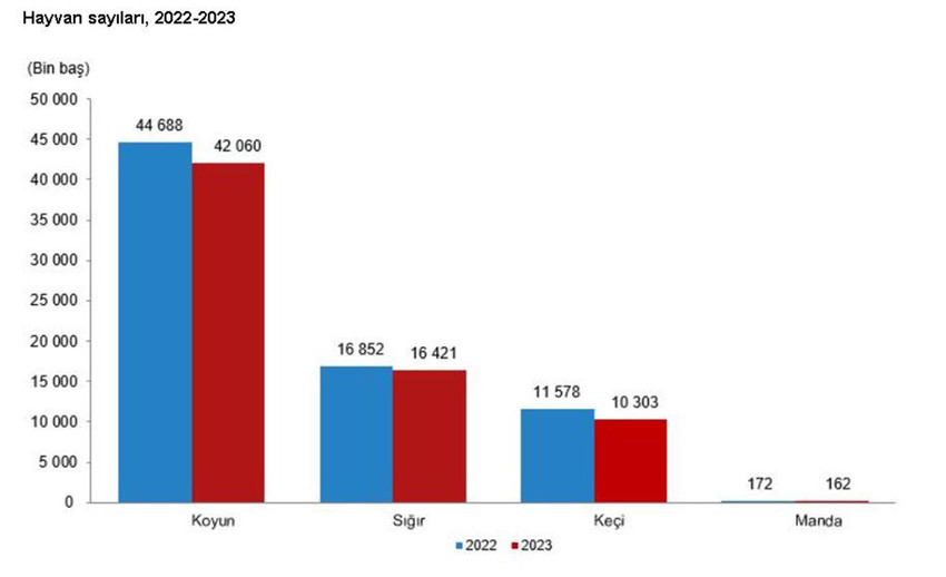 Türkiye İstatistik Kurumu verilerine göre, 2023'te büyükbaş ve küçükbaş hayvan sayısı azaldı. 