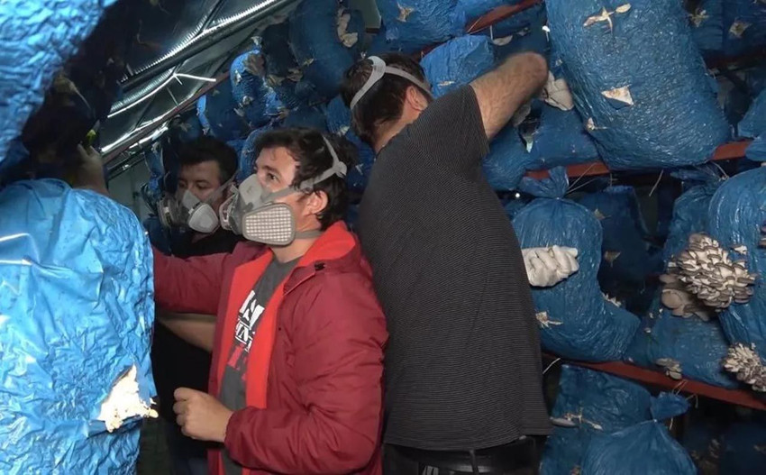 Kilosu 70 lira! 3 mühendis kafa kafaya verdi; şimdi paraya para demiyorlar! - Resim: 1