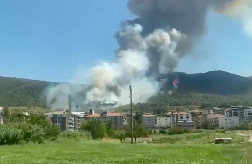 Aydın, Mersin, Bolu, Çanakkale ve Manisa'da ormanlık alanda yangın çıktı. Alevleri söndürmek için çalışma başlatıldı.