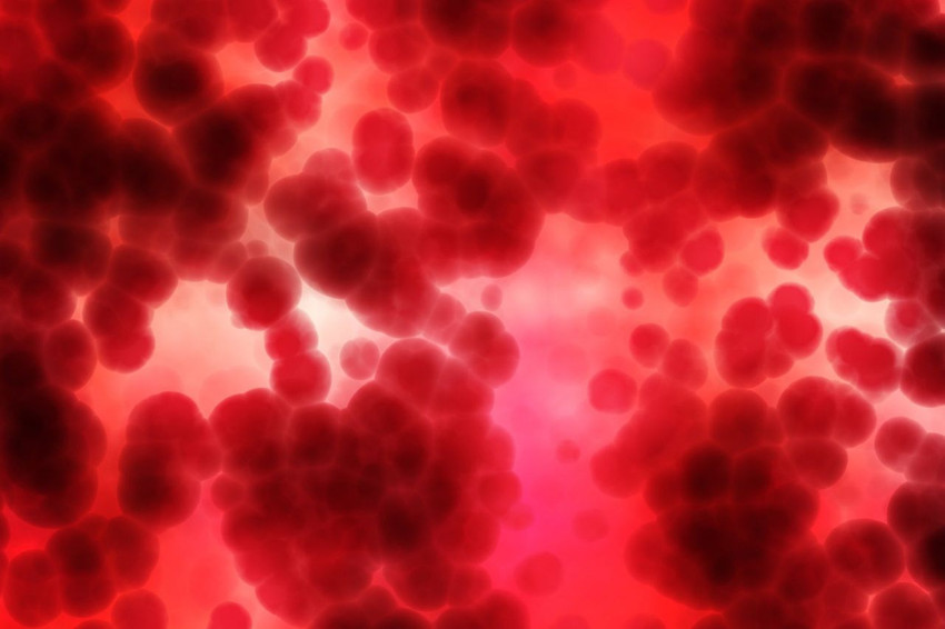 Koronavirüste en riskli kan grupları açıklandı - Resim: 3