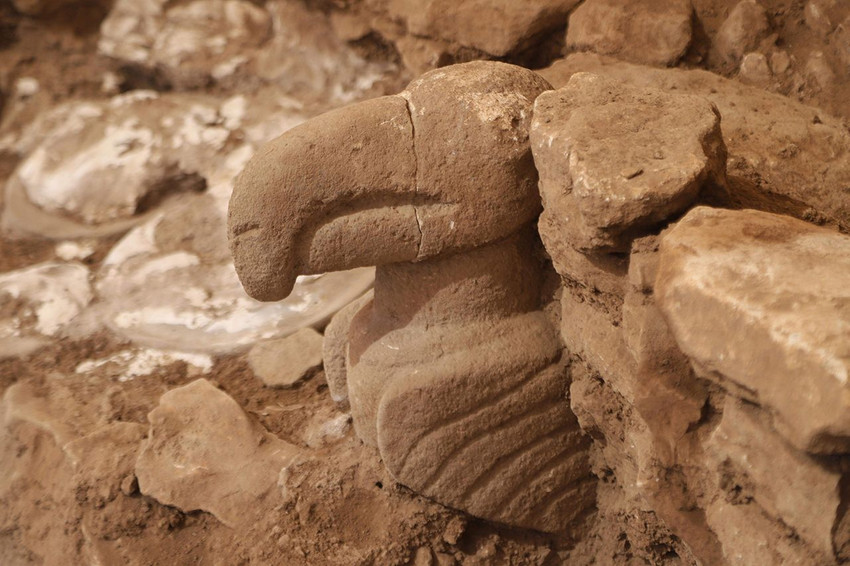 Tarihin sıfır noktası Göbeklitepe'de bir tarihi keşif daha - Resim: 4