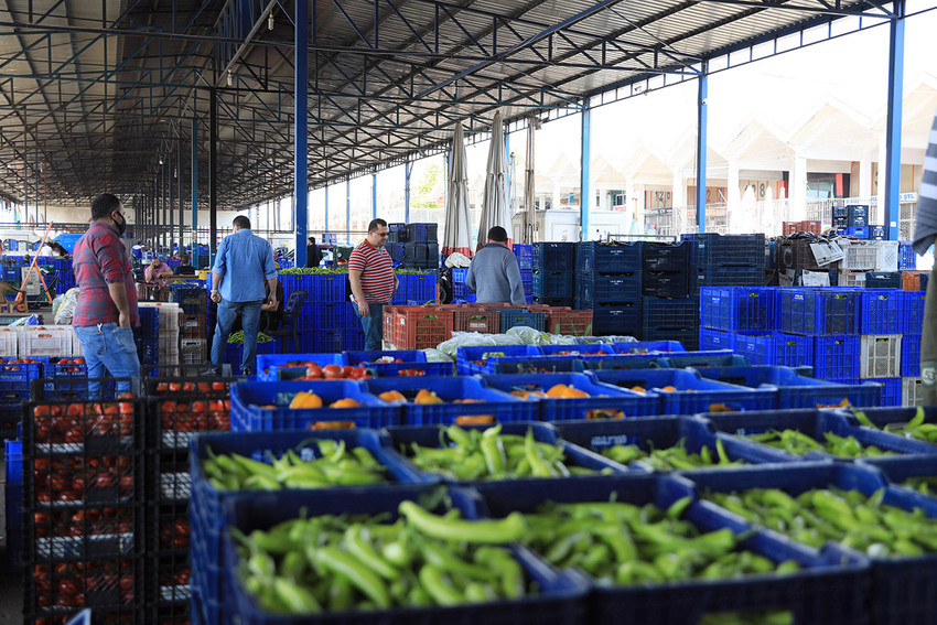 Antalya'da son dönemde soğuk hava, sel ve fırtına gibi nedenlerle ürün rekoltesinde ciddi düşüş yaşandı. Bazı ürünlerde fiyatlar iki katına çıkarken, hale giren mahsul miktarı yarı yarıya düştü.