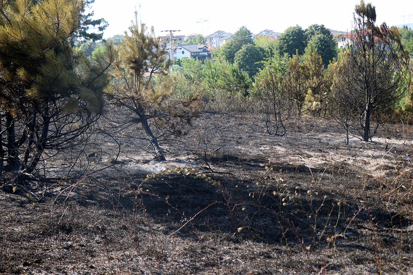 Yine ciğerlerimiz yanıyor! 10 ilde peş peşe orman yangını - Resim : 12