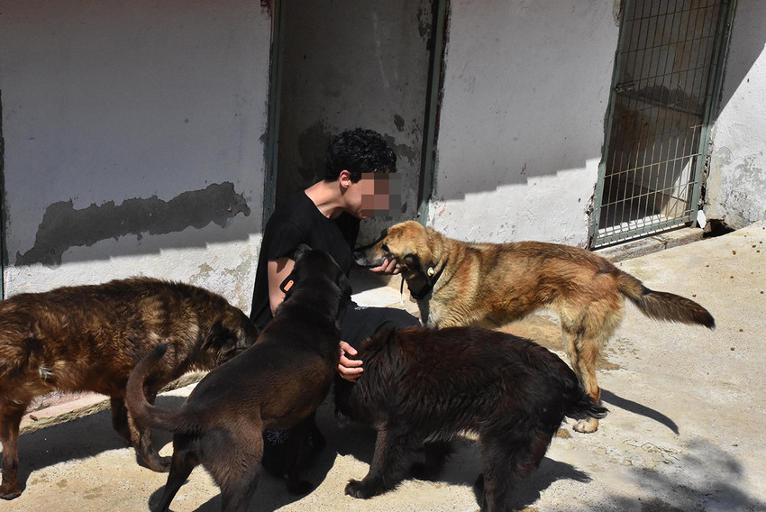 Ünlü şarkıcı Can Bonomo'nun ablası İzmir'in Konak ilçesindeki evinde ilaç içerek intihara kalkıştı.