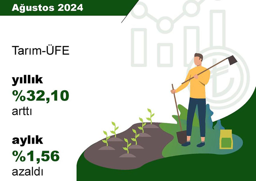 Türkiye İstatistik Kurumu (TÜİK), ağustos ayında tarım ürünleri üretici fiyatlarının aylık yüzde 1,56 azaldığını, yıllık yüzde 32,10 arttığını açıkladı.